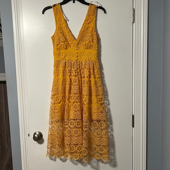 Hannon Mustard Yellow Lace Sleeveless Dress - Picture 3 of 7